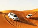 Dubai Desert Safari Tour